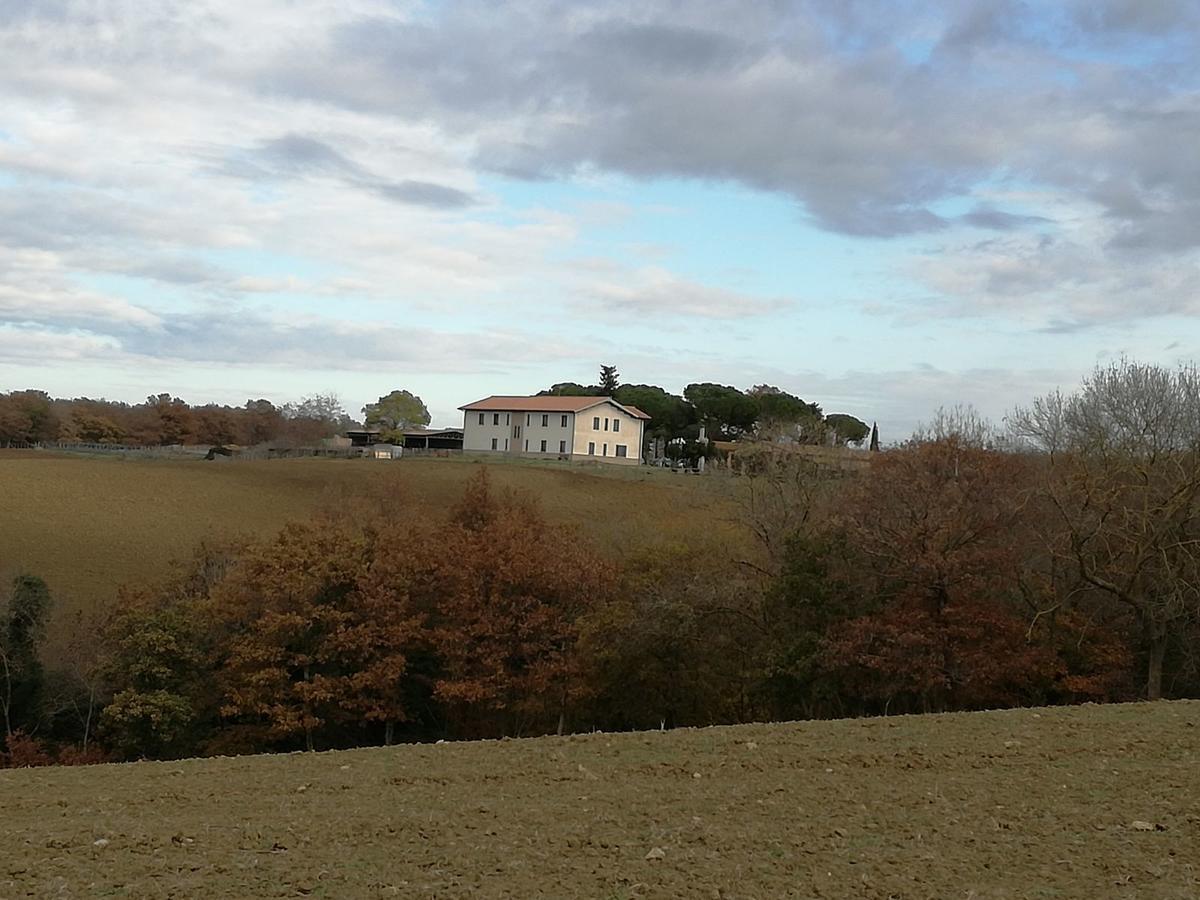 Biocampus La Roccaccia - Universita' Agraria Di Таркуїнія Екстер'єр фото